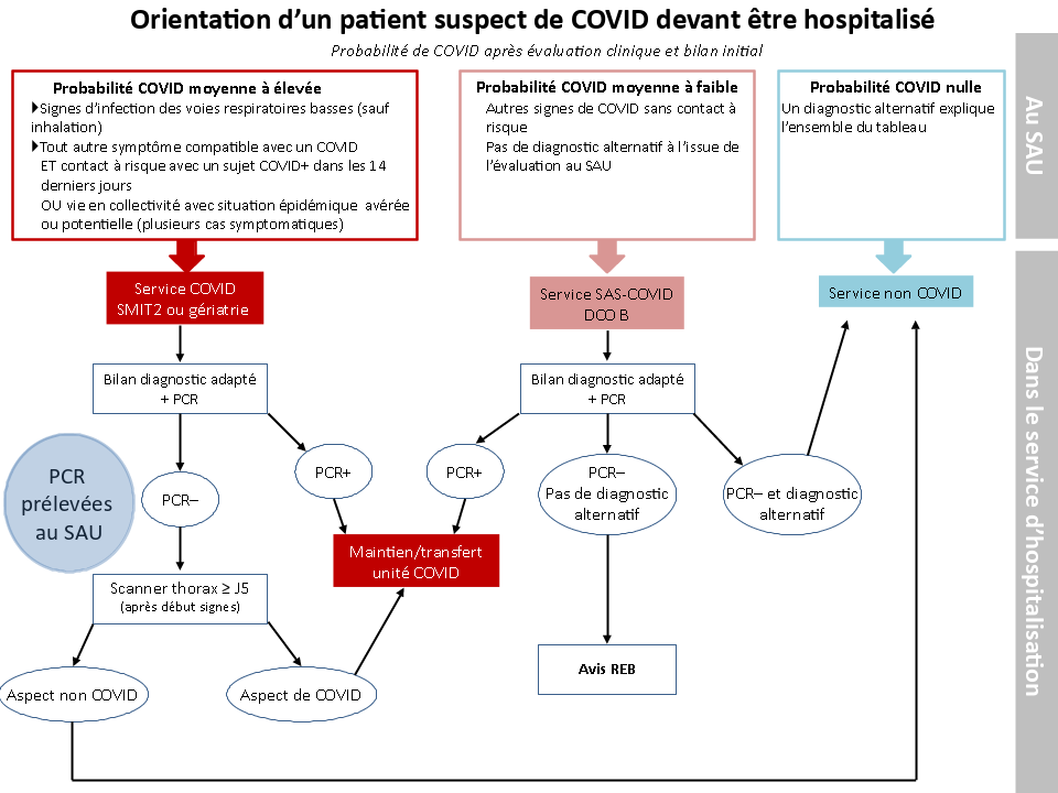 Orientation des patients accueillis en secteur COVID-19.png