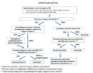 Covid pedia plus6.png