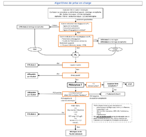 Meningite algorithme.png