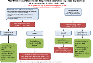 Virus respi triplex orientation.png