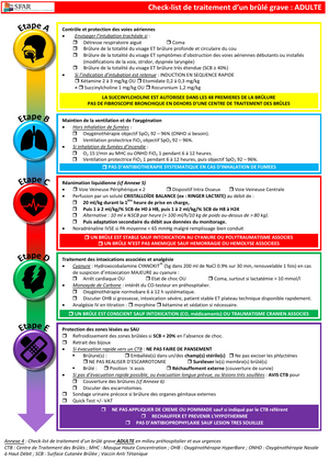 Brule checklist adulte.png