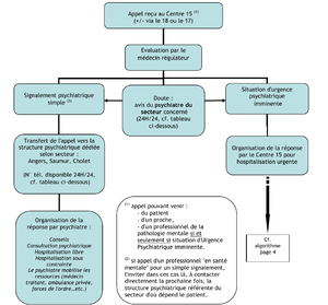Algorithme filiere psychiatrique.png