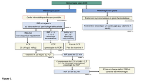 Anticoagulation sau avk.png