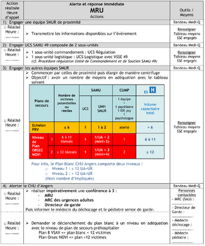 Sse mru immediat01.png