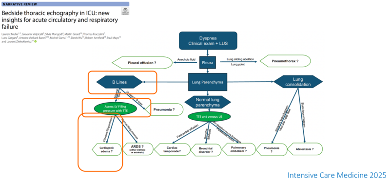 Fichier:Echo diastolique.png
