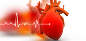 Coeur ecg.png