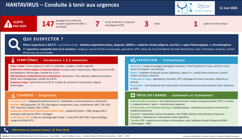 Fichier:Hantavirus andes.png