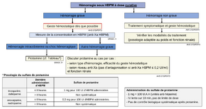 Anticoagulation sau hbpm.png