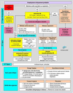 Anaphylaxie agorithme.png