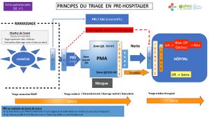 SSE fiches2023 - 08.jpg