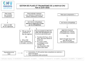 Urgences main greve.png