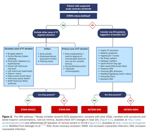 Patterns omi acep.png