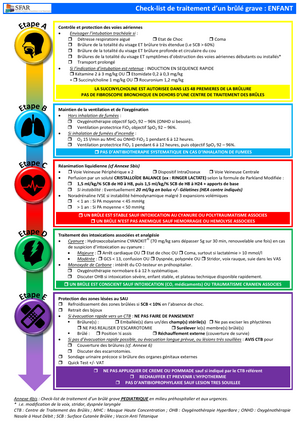 Brule checklist pedia.png