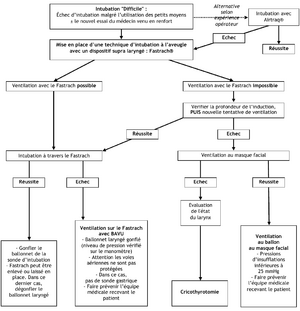 Intubation difficile algorithme.png